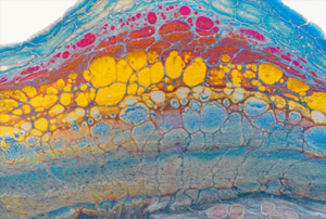 首页| 尊龙集团中国官方网站