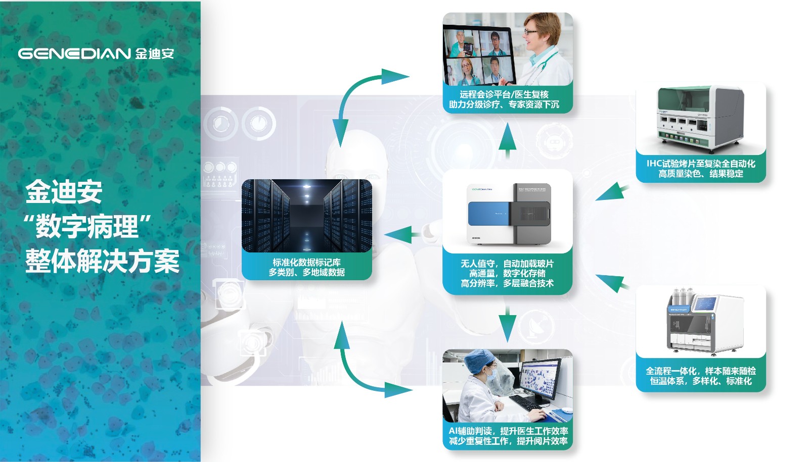 画板 2 副本@8x-100(1).jpg