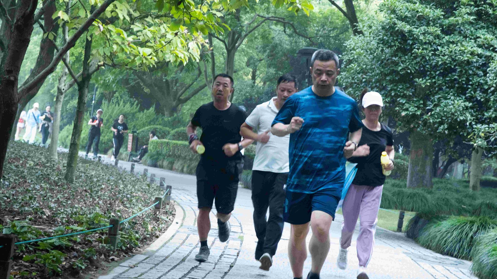 领跑.jpg