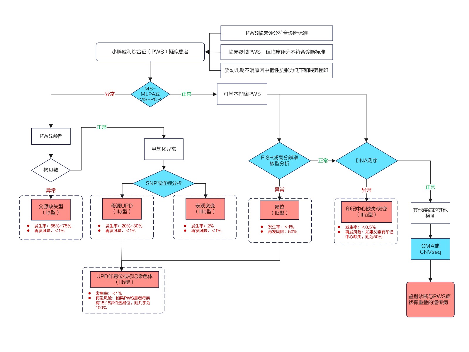 PWS基因诊断流程图及再发危害-修改_01.jpg