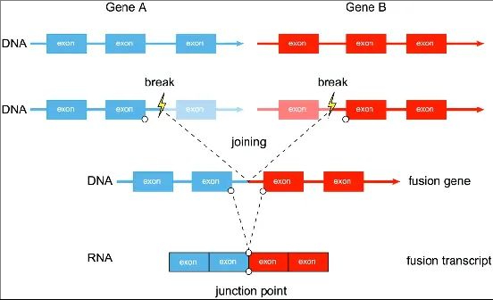 裁剪旋转 (16).jpeg