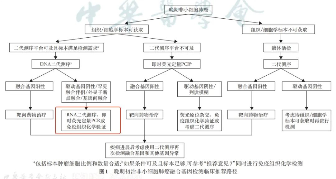 裁剪旋转 (19).jpeg